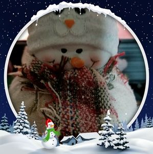 Meet your Posher, Robin